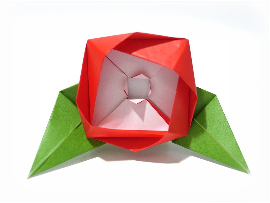 Lezione di Origami a Conegliano 20-01-2019