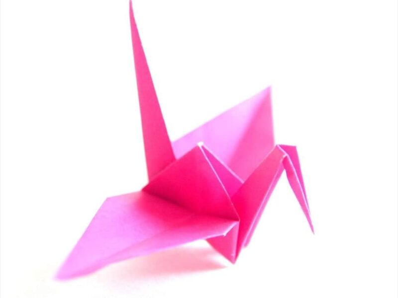 Lezione di Origami On Line